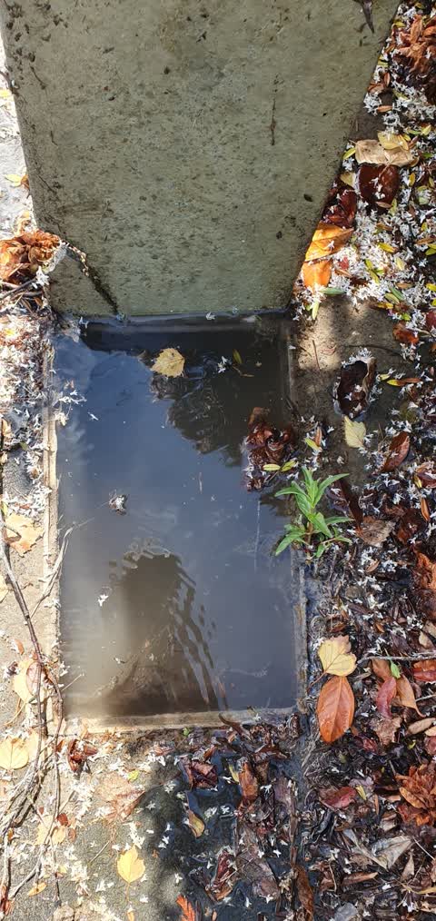 Water Supply, a report photo