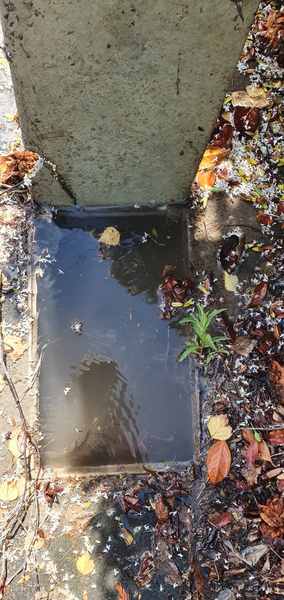 The photograph attached to this water supply report