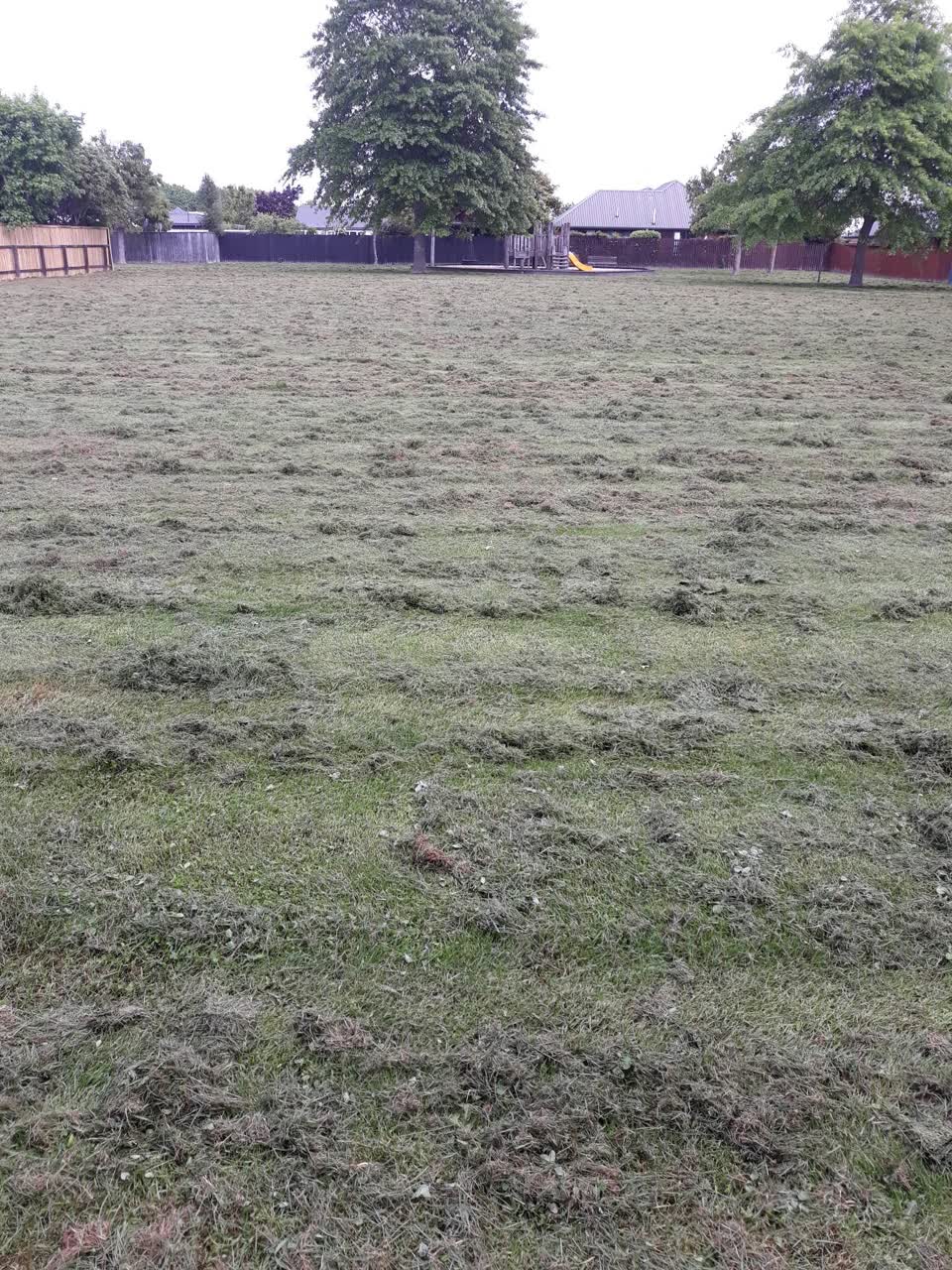 The photograph attached to this parks report