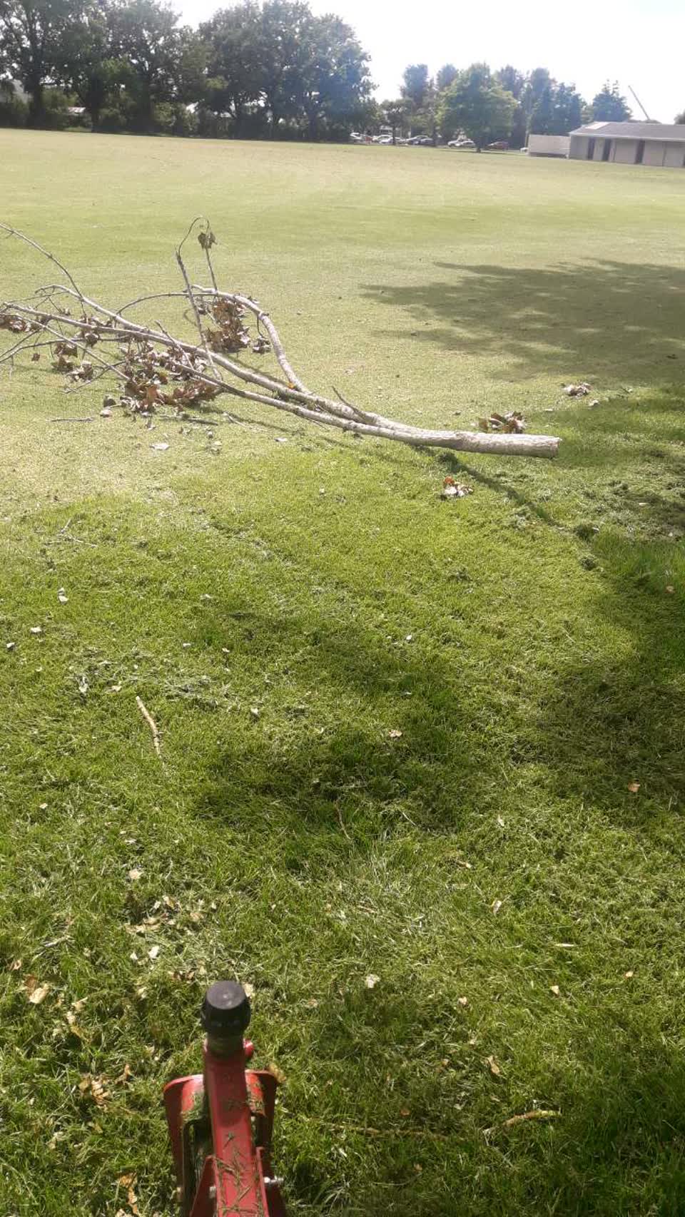 The photograph attached to this parks report