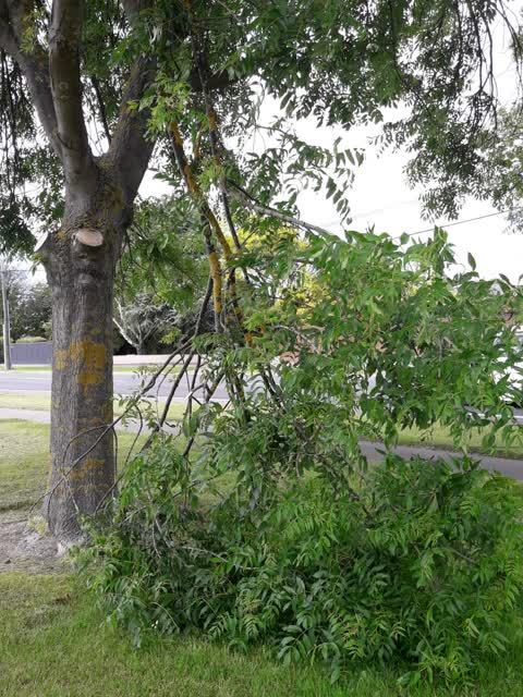 Parks, a report photo