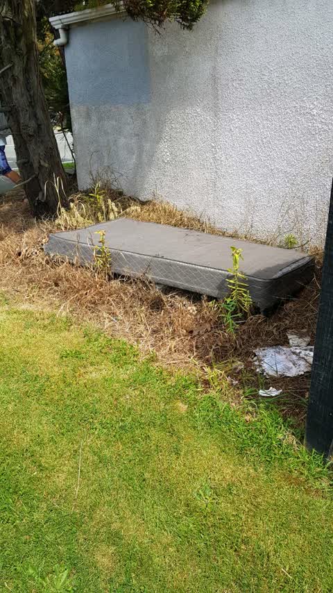 Rubbish/Recycling, a report photo
