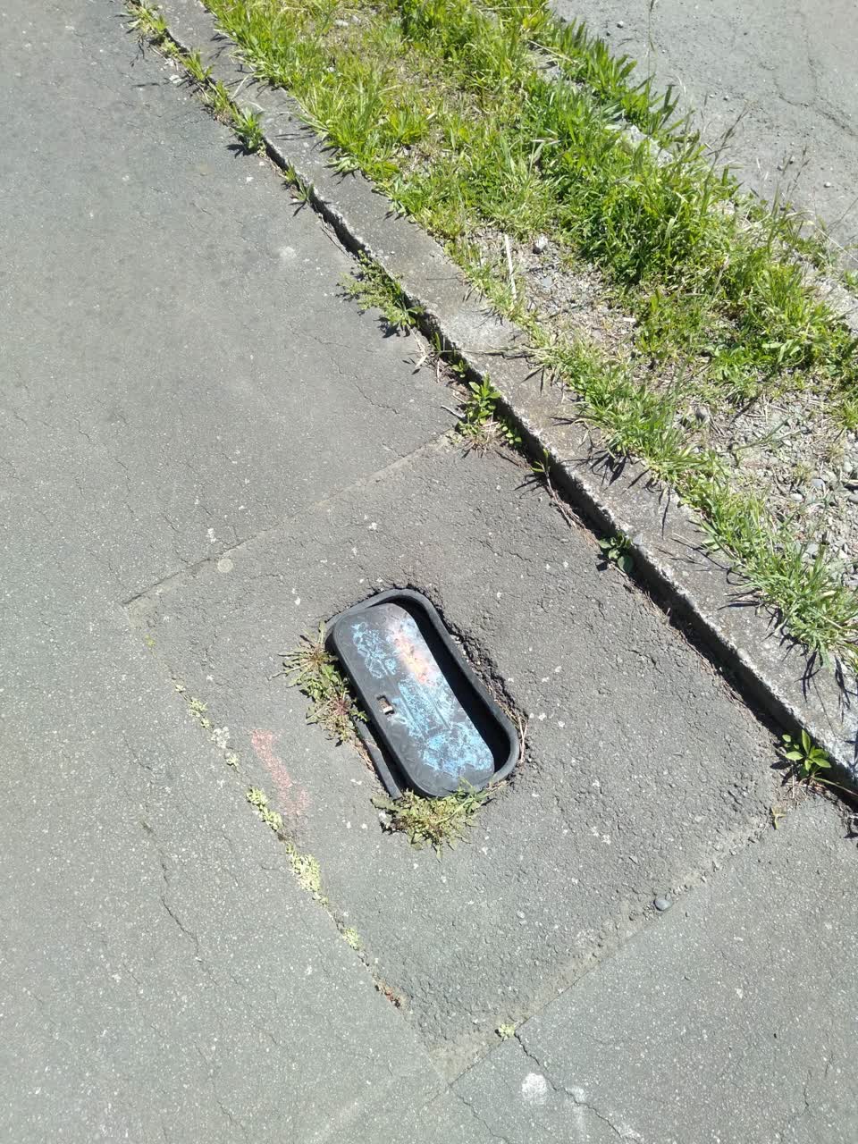 The photograph attached to this roading/streets report