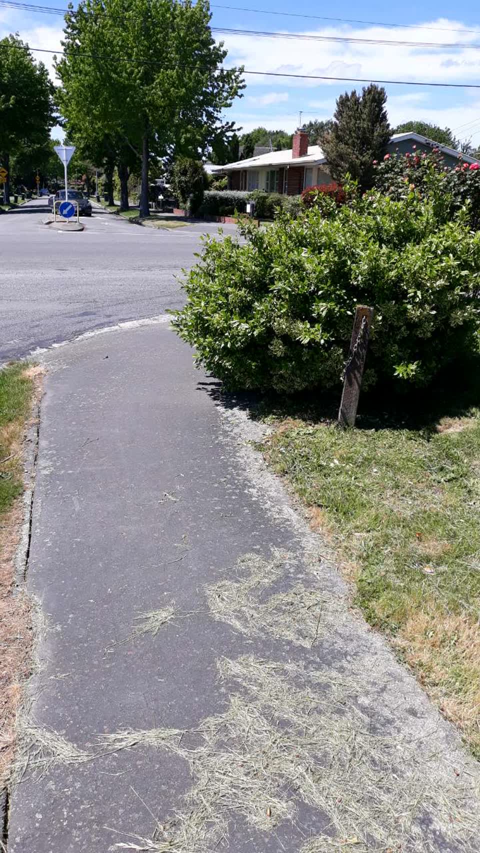 The photograph attached to this roading/streets report