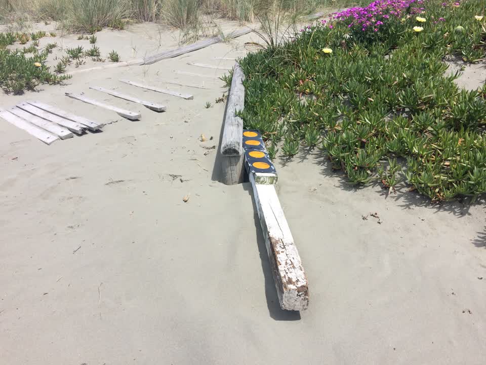 The photograph attached to this parks report