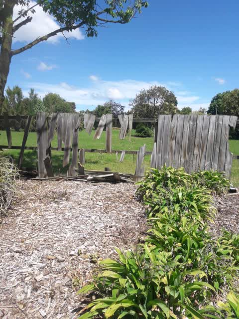 Parks, a report photo
