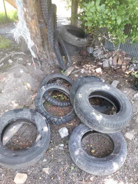 Rubbish/Recycling, a report photo