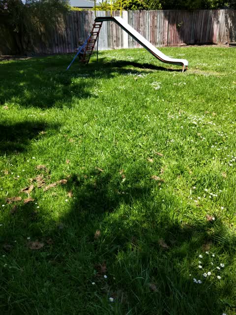 Parks, a report photo