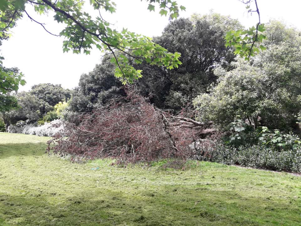 The photograph attached to this parks report