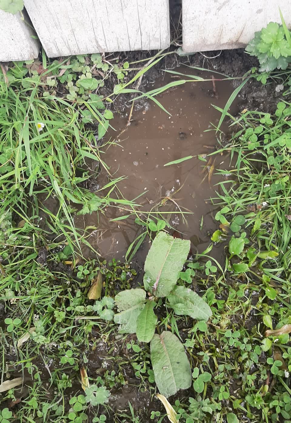 The photograph attached to this water supply report
