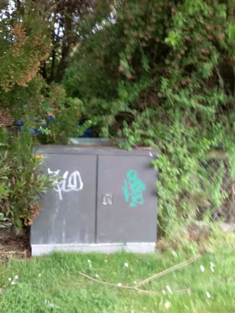 Graffiti, a report photo