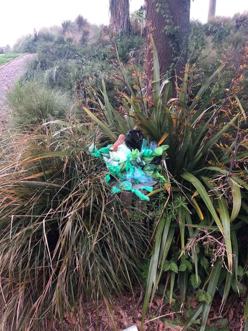 The photograph attached to this parks report