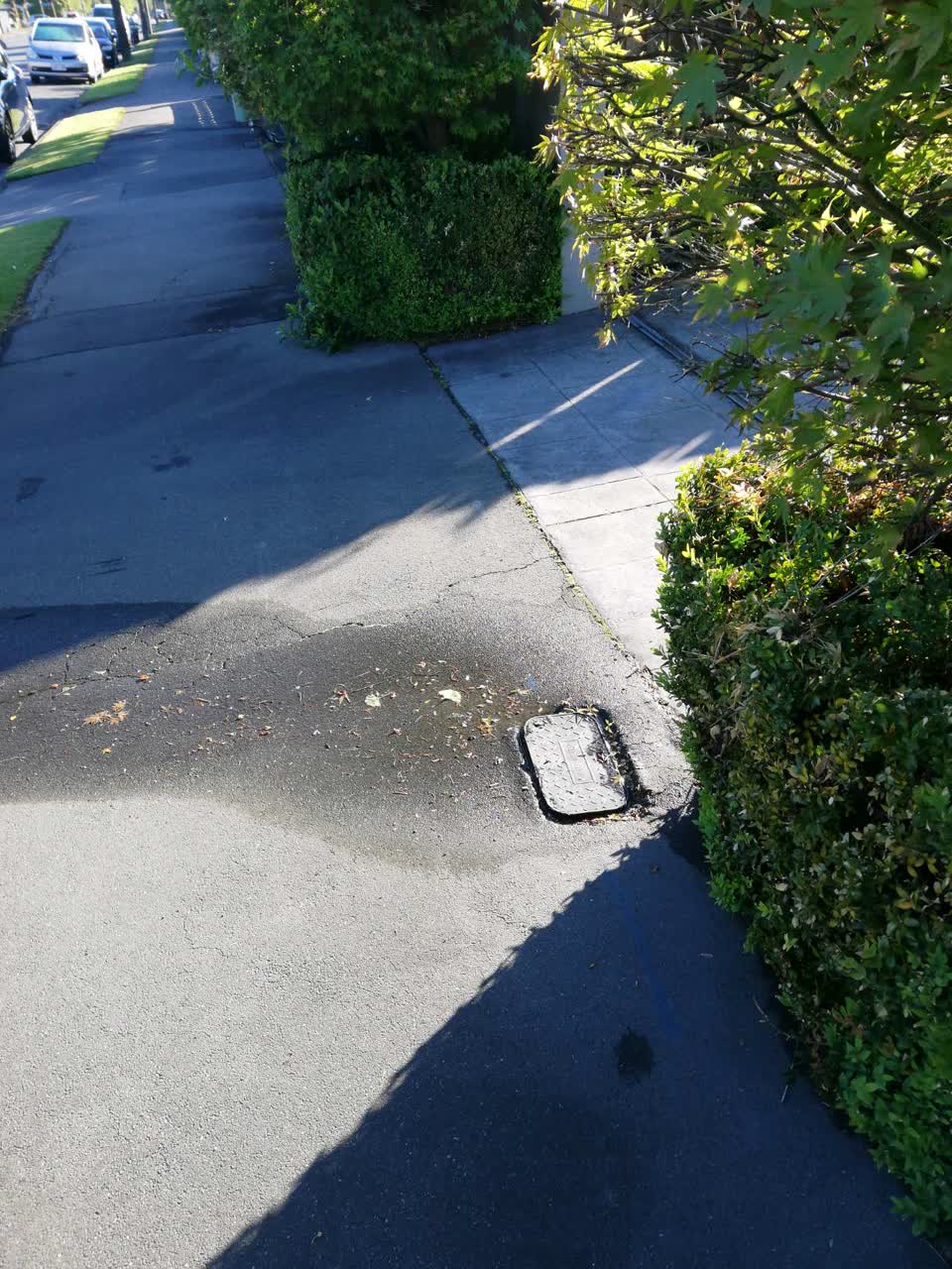 The photograph attached to this water supply report
