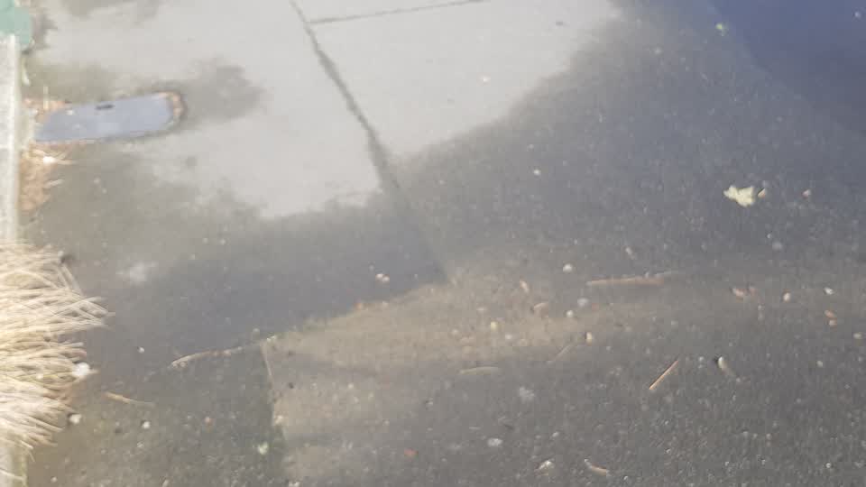 The photograph attached to this water supply report