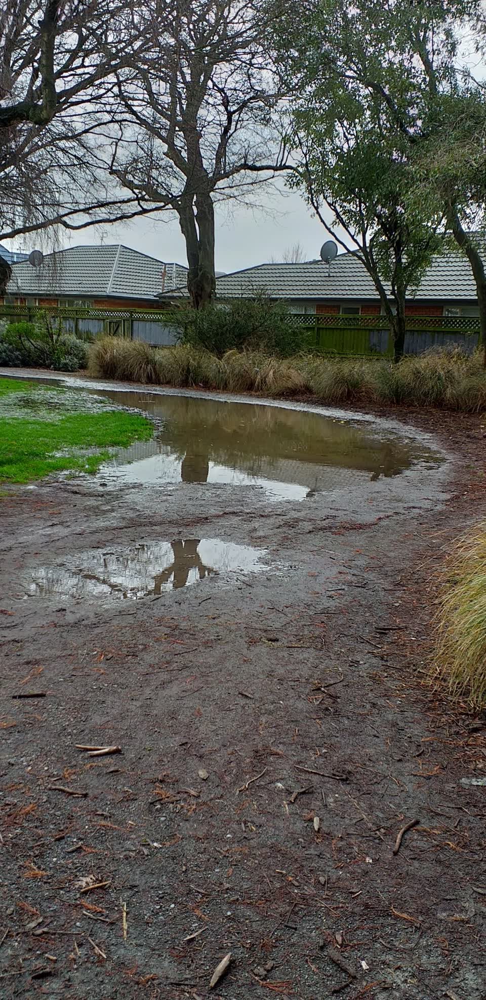 The photograph attached to this parks report