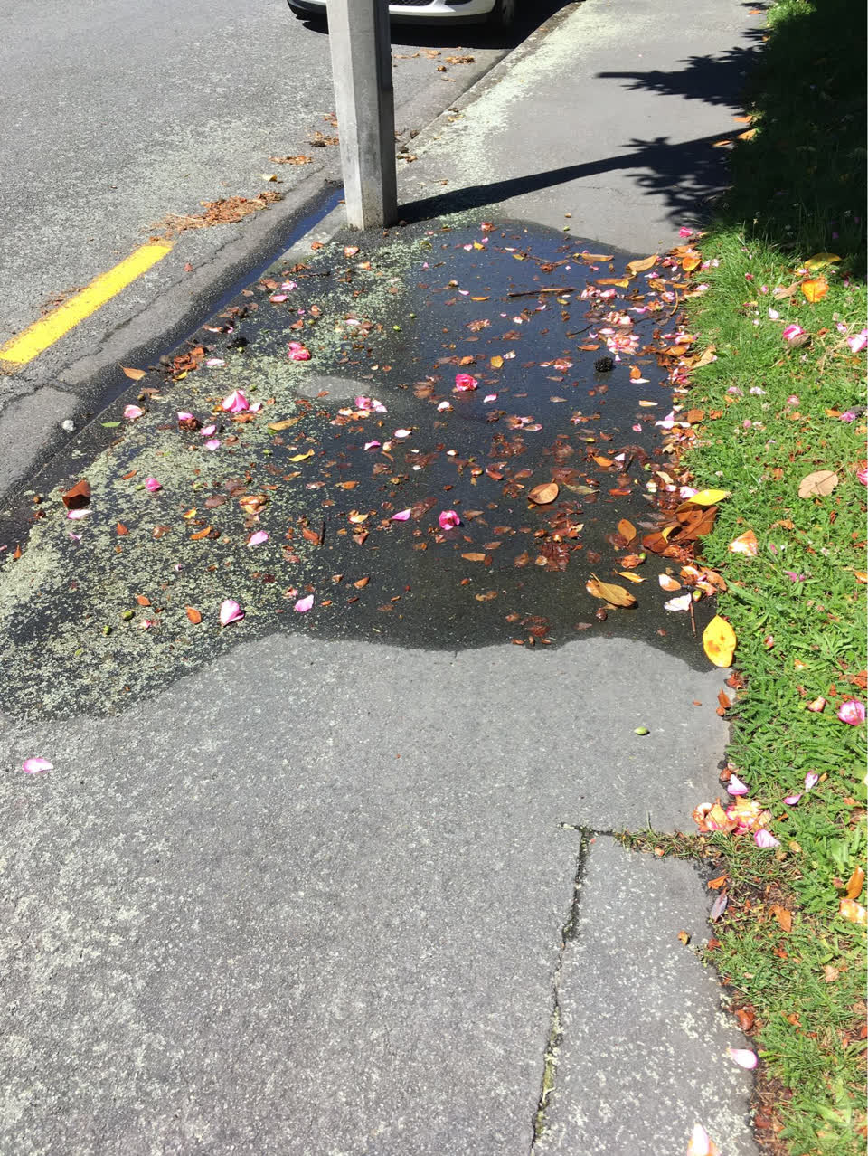 The photograph attached to this water supply report