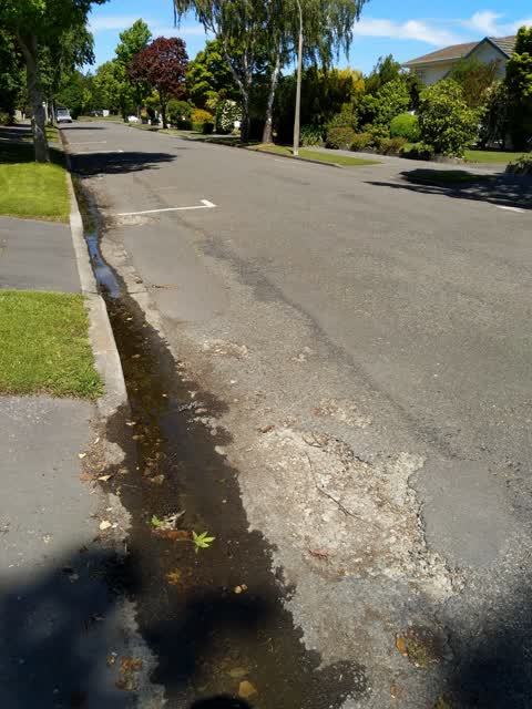 Roading/Streets, a report photo