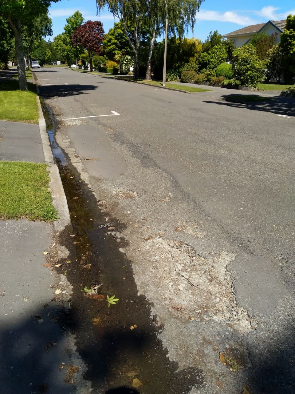 The photograph attached to this roading/streets report