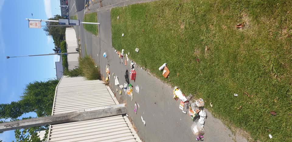 The photograph attached to this rubbish/recycling report