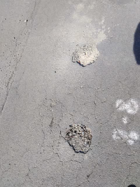 Roading/Streets, a report photo