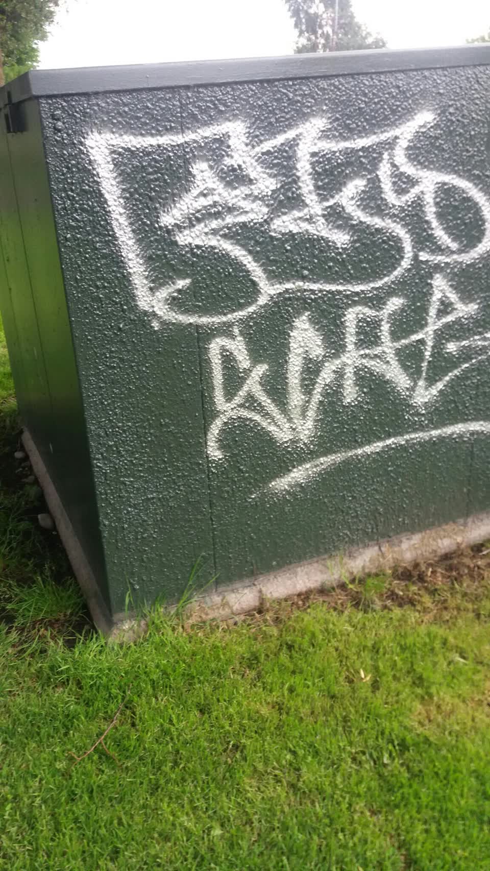 The photograph attached to this graffiti report