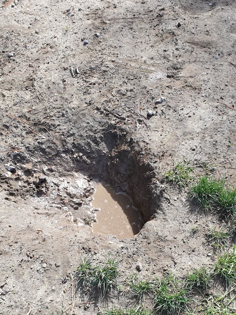 The photograph attached to this parks report