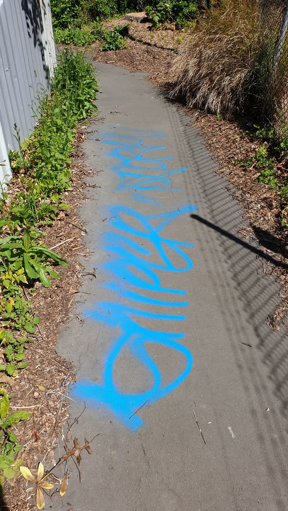 The photograph attached to this graffiti report
