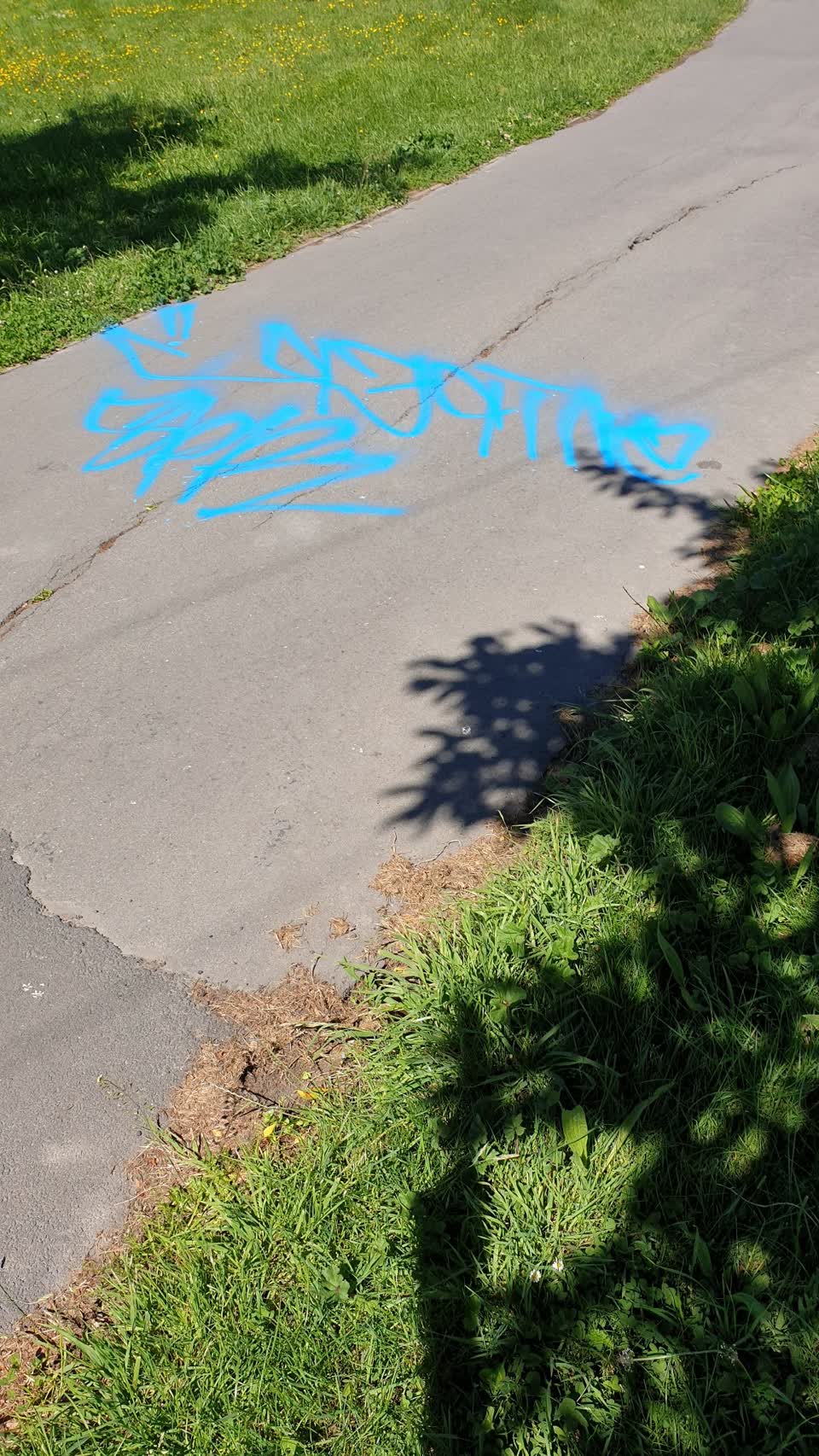 The photograph attached to this graffiti report