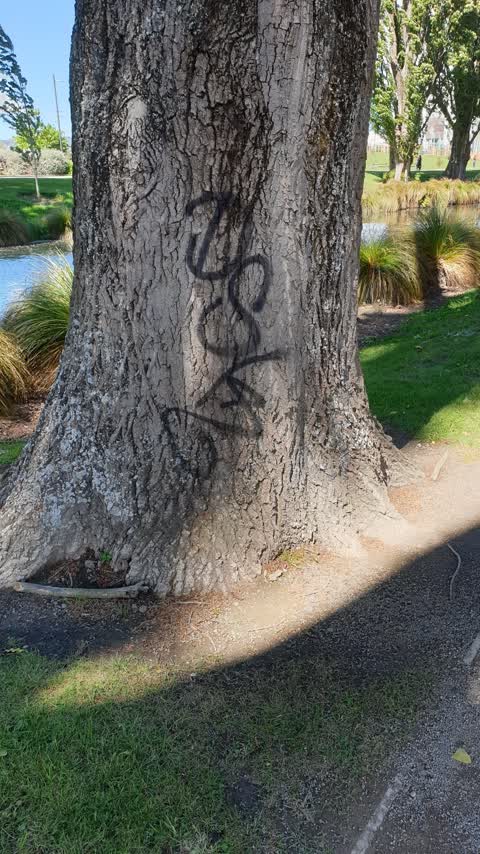 Graffiti, a report photo