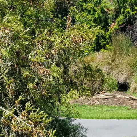 Parks — a report photo