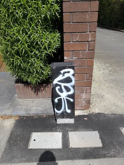 Graffiti, a report photo