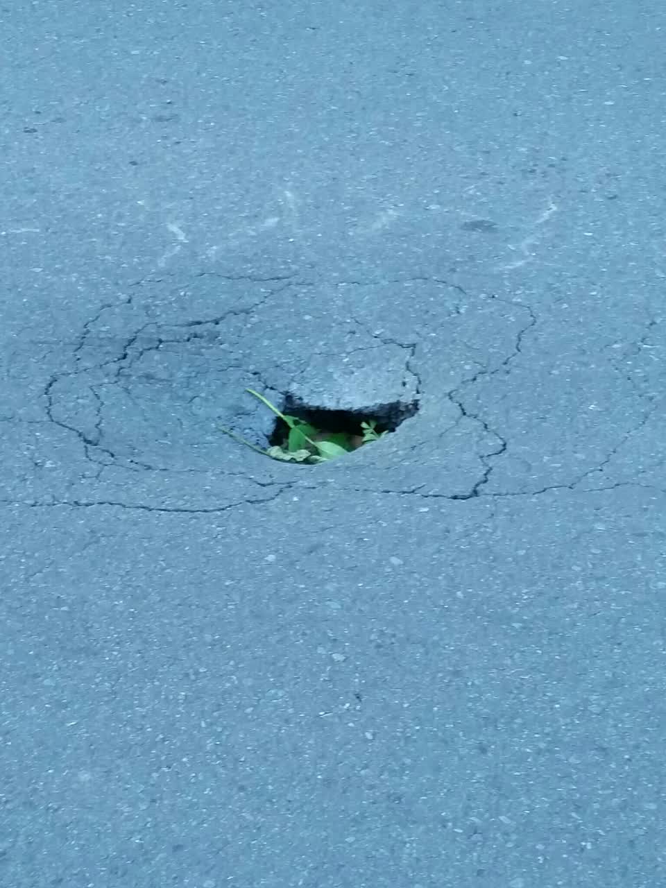 The photograph attached to this roading/streets report