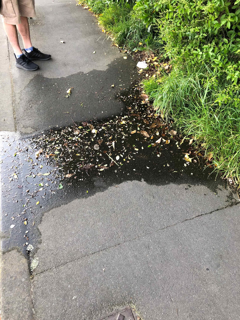 The photograph attached to this water supply report