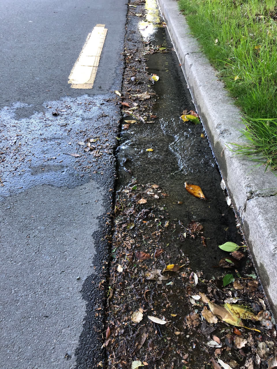 The photograph attached to this water supply report