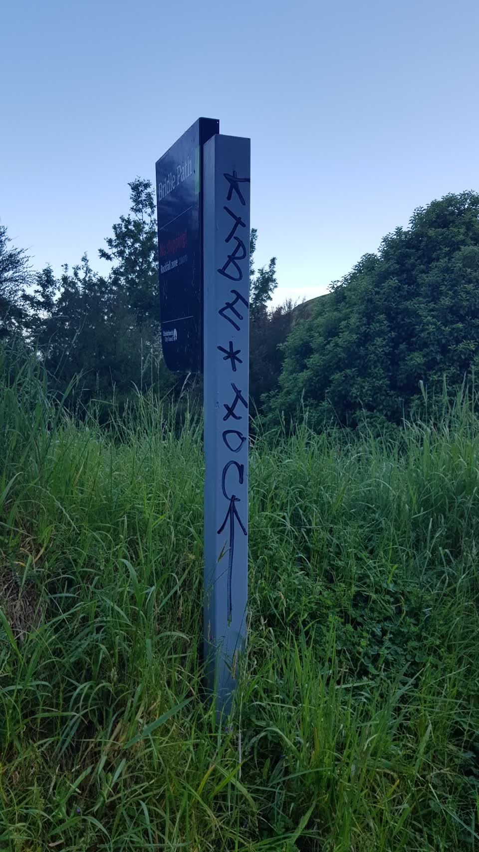 The photograph attached to this graffiti report