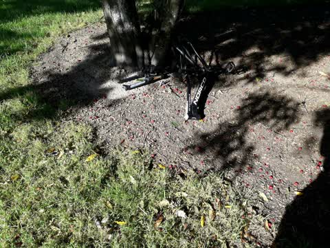 Parks — a report photo