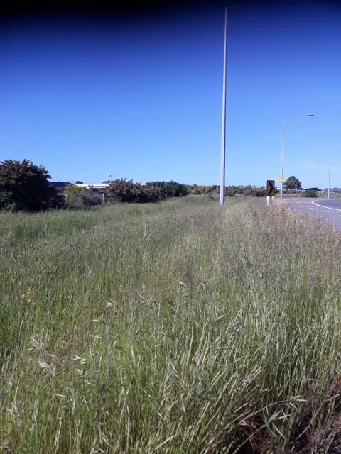 Parks, a report photo