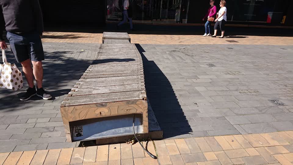 The photograph attached to this parks report