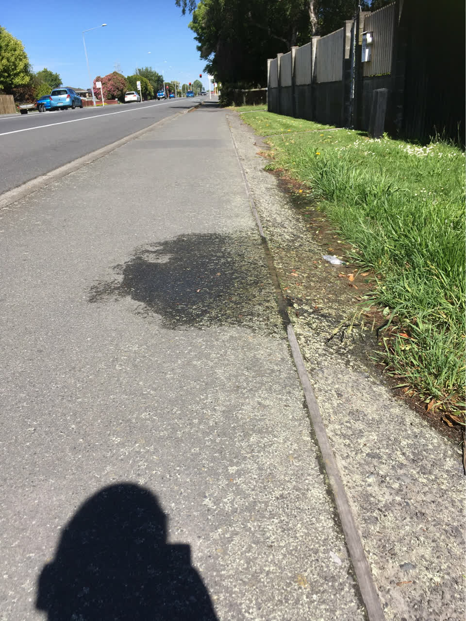 The photograph attached to this water supply report