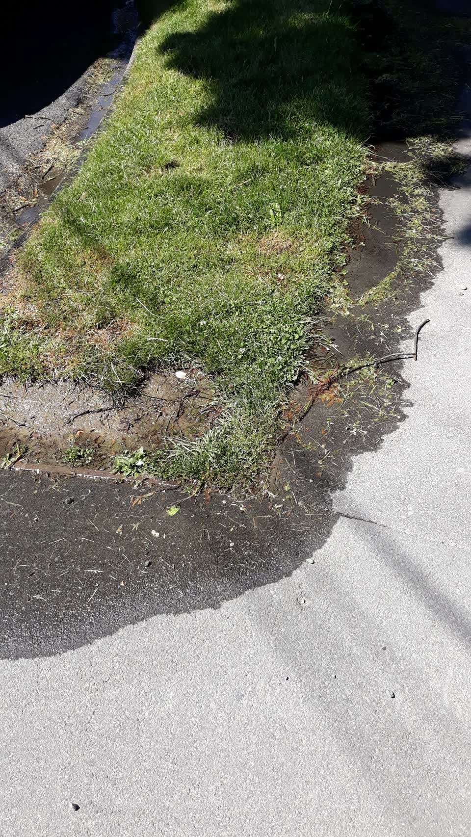 The photograph attached to this water supply report