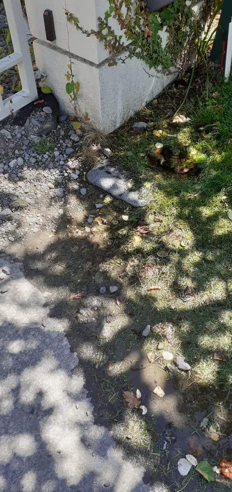 Water Supply, a report photo