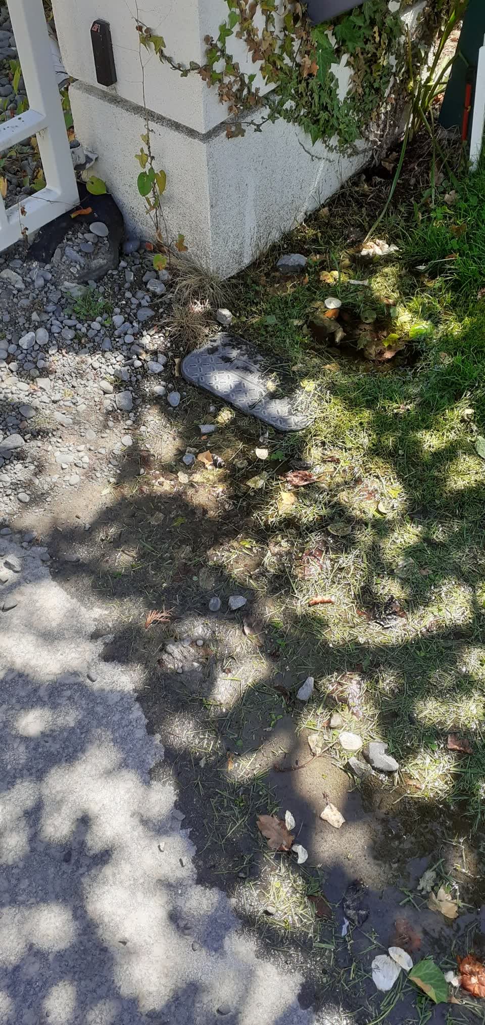The photograph attached to this water supply report