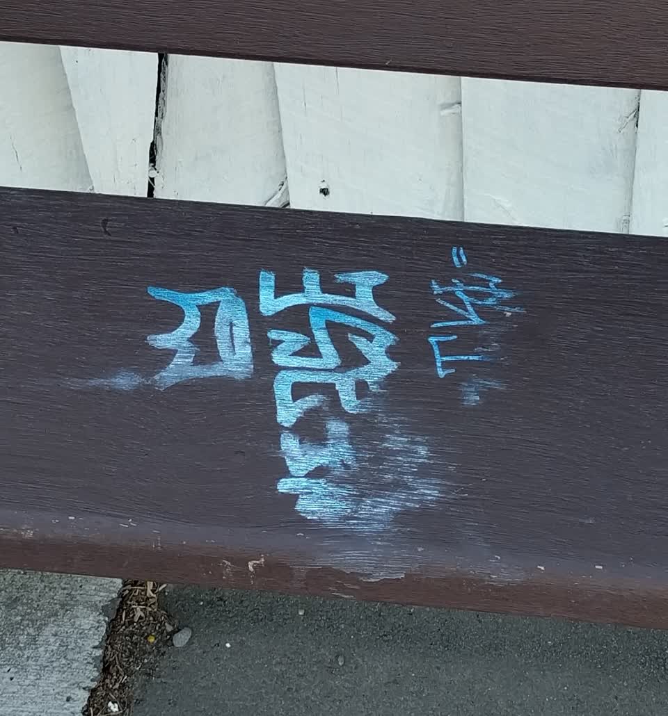 The photograph attached to this graffiti report