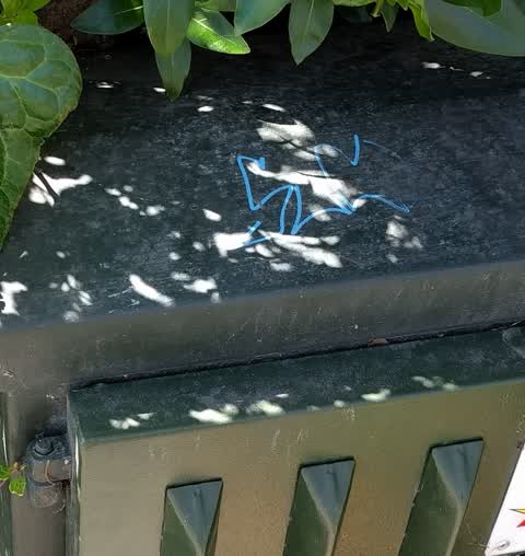 Graffiti, a report photo