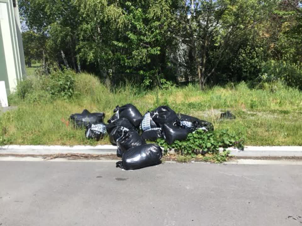 The photograph attached to this rubbish/recycling report