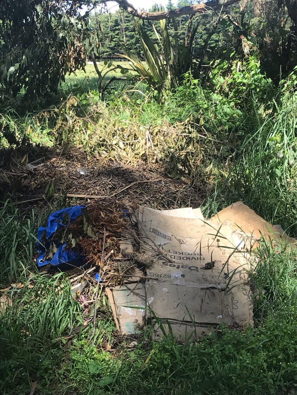 The photograph attached to this rubbish/recycling report