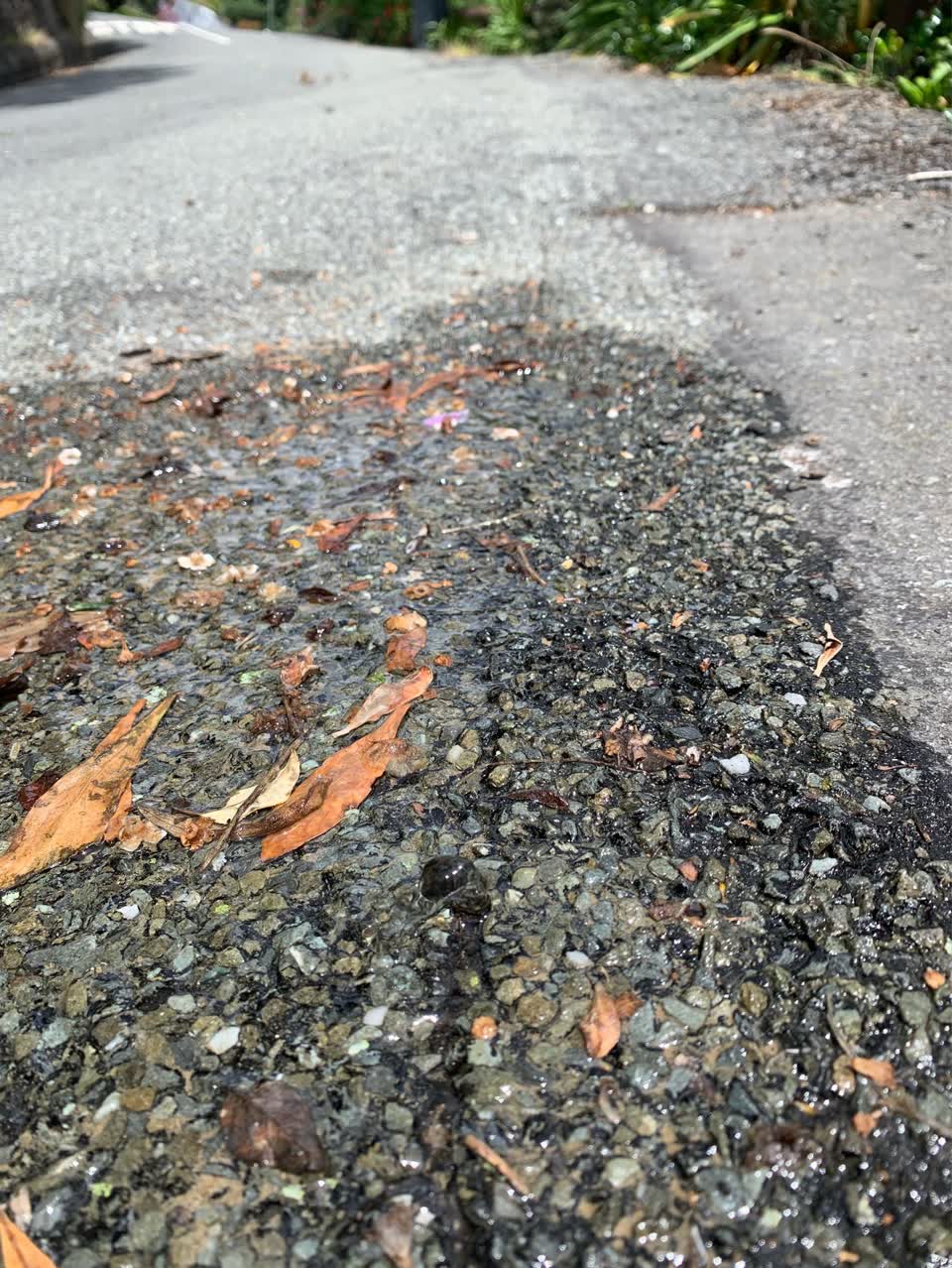 The photograph attached to this water supply report