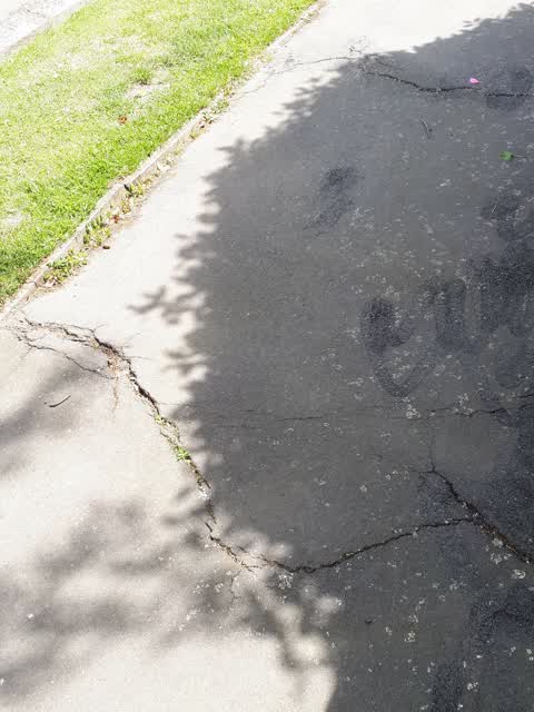 Roading/Streets, a report photo