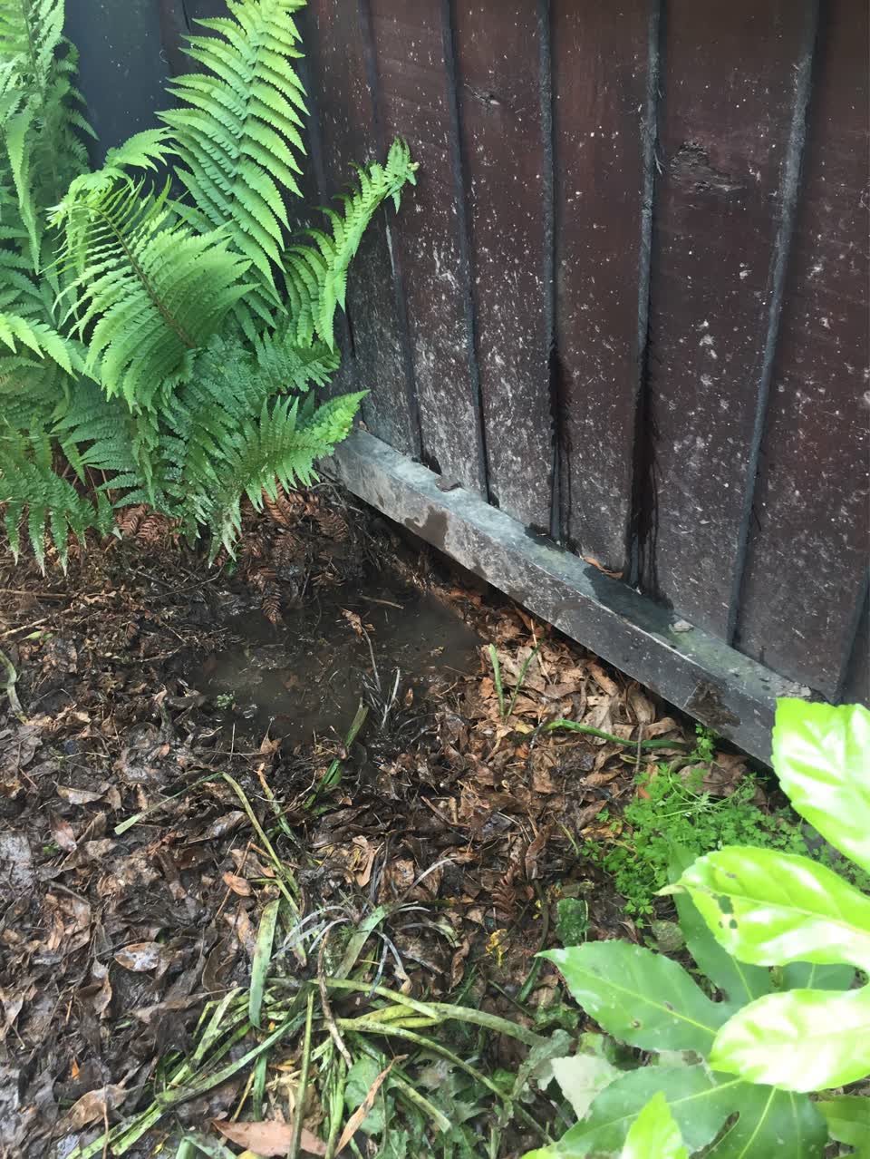 The photograph attached to this wastewater/stormwater report