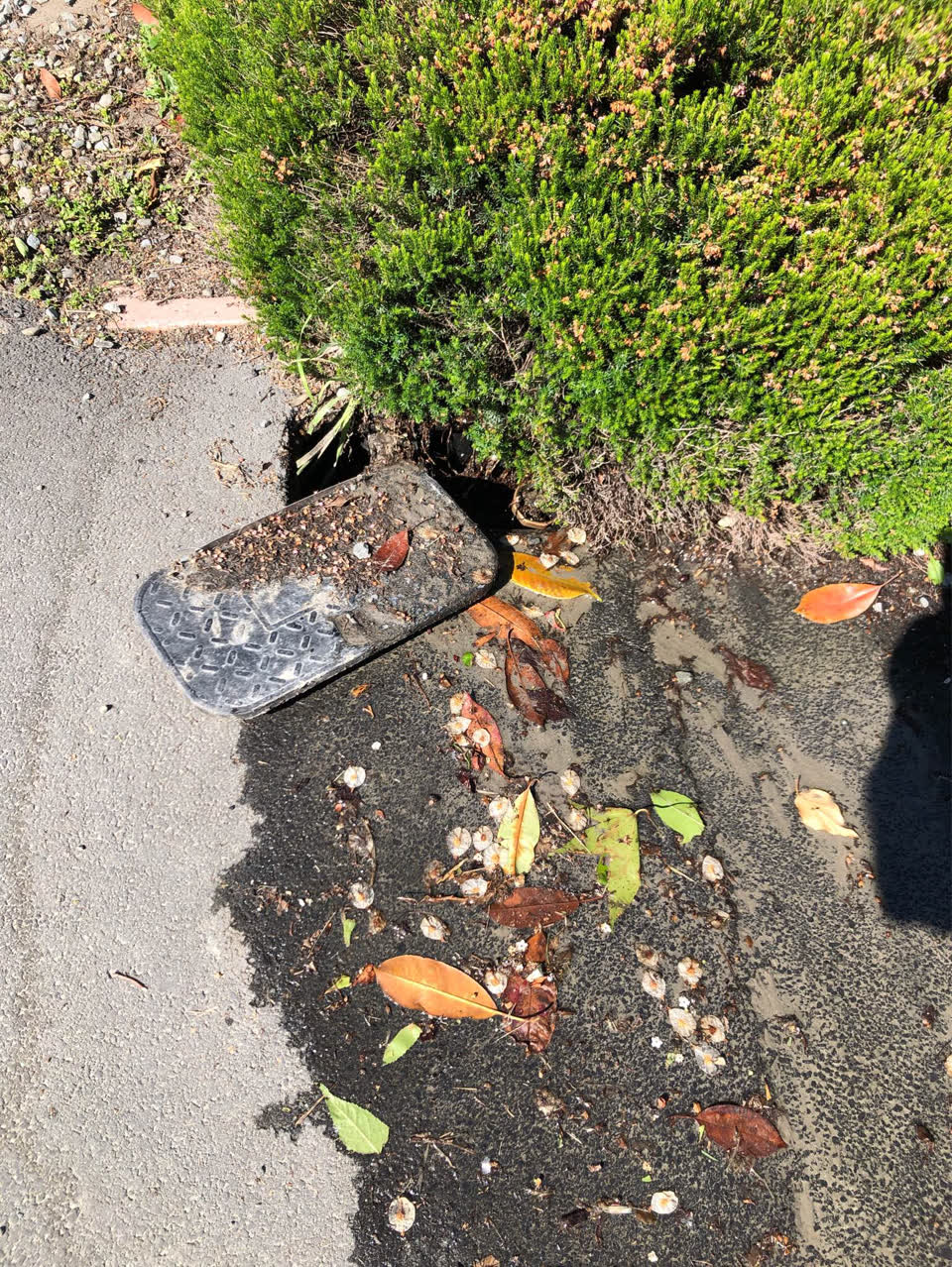 The photograph attached to this water supply report
